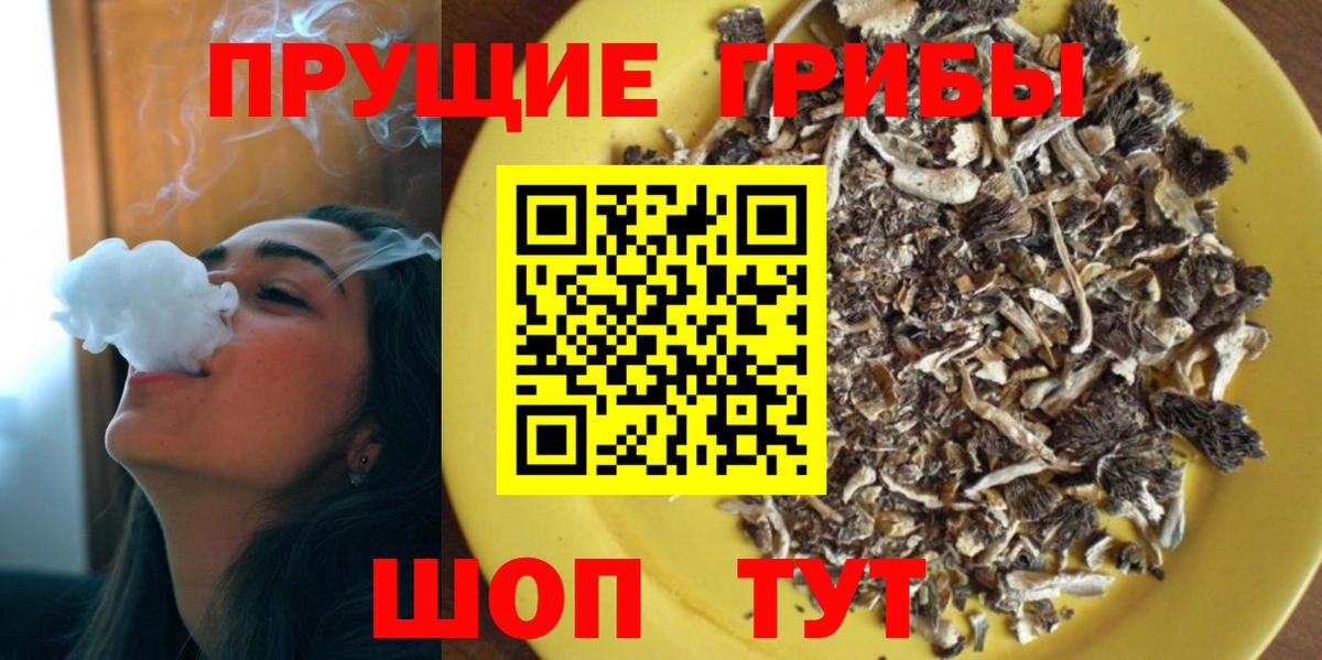 Кириши  Галлюциногенные грибы GOLDEN TEACHER  Вход с VPN  Псилоцибиновые грибы Cubensis 