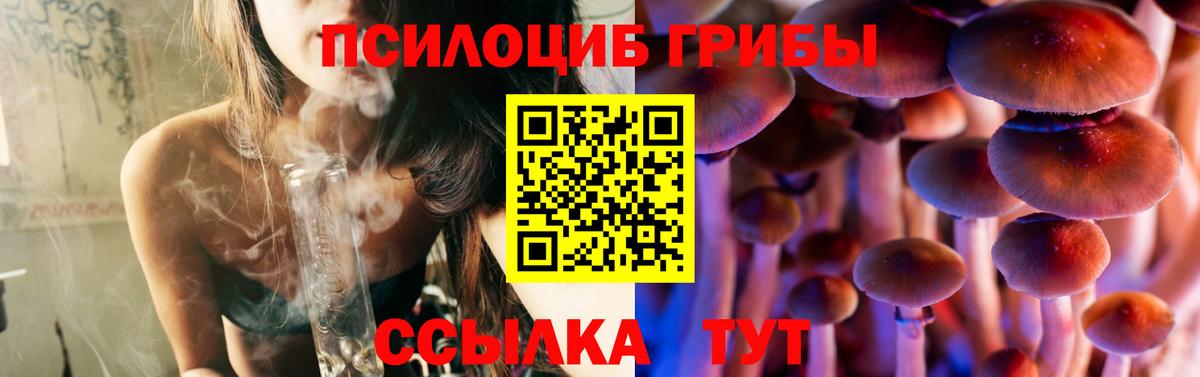 Псилоцибиновые грибы ЛСД Кириши